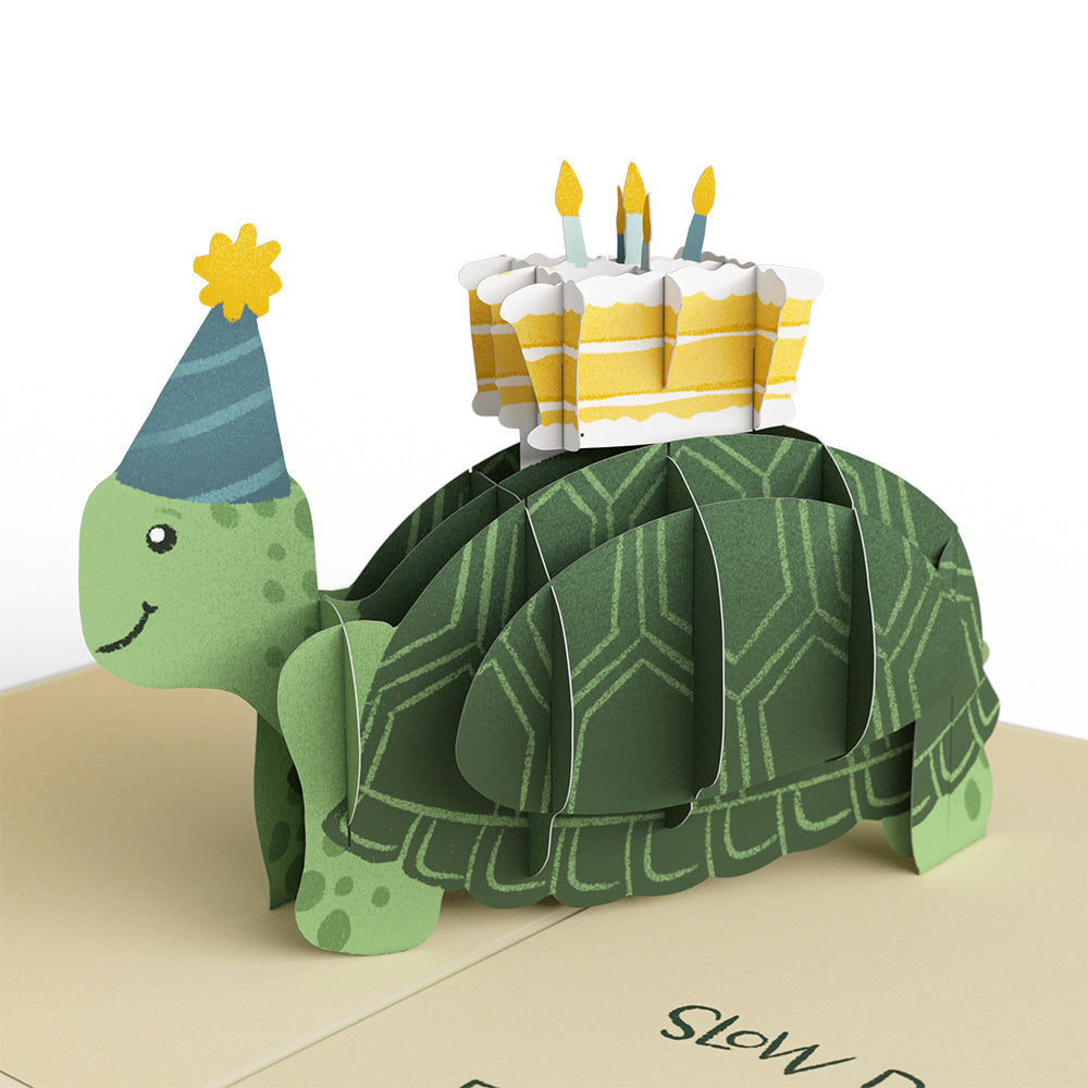Shell-ebrate 80th Birthday Turtle Pop-Up Card and Sentiment Set、mySite、solidvoid