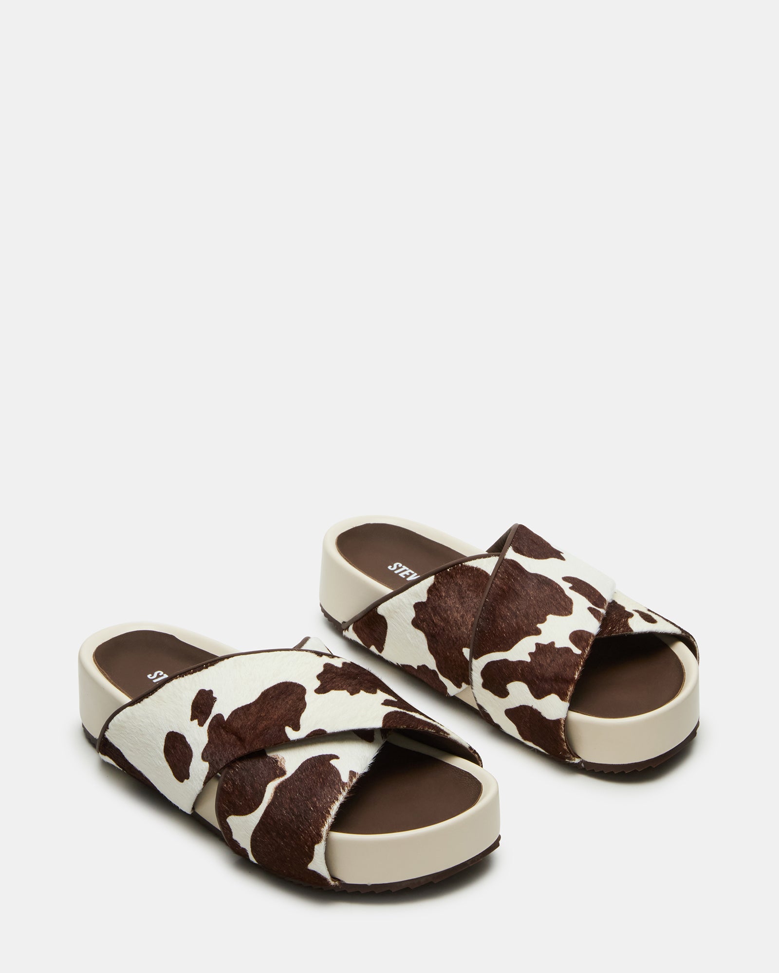 AVENDRA BROWN COW PRINT、mySite、gtrtttuynbv