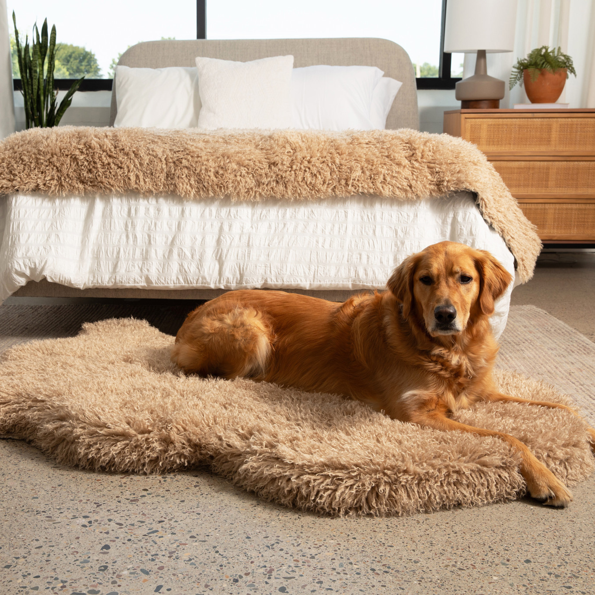 PupRug™ Luxe Faux Fur Orthopedic Dog Bed - Plush Sheep Tan、mySite、solidvoid