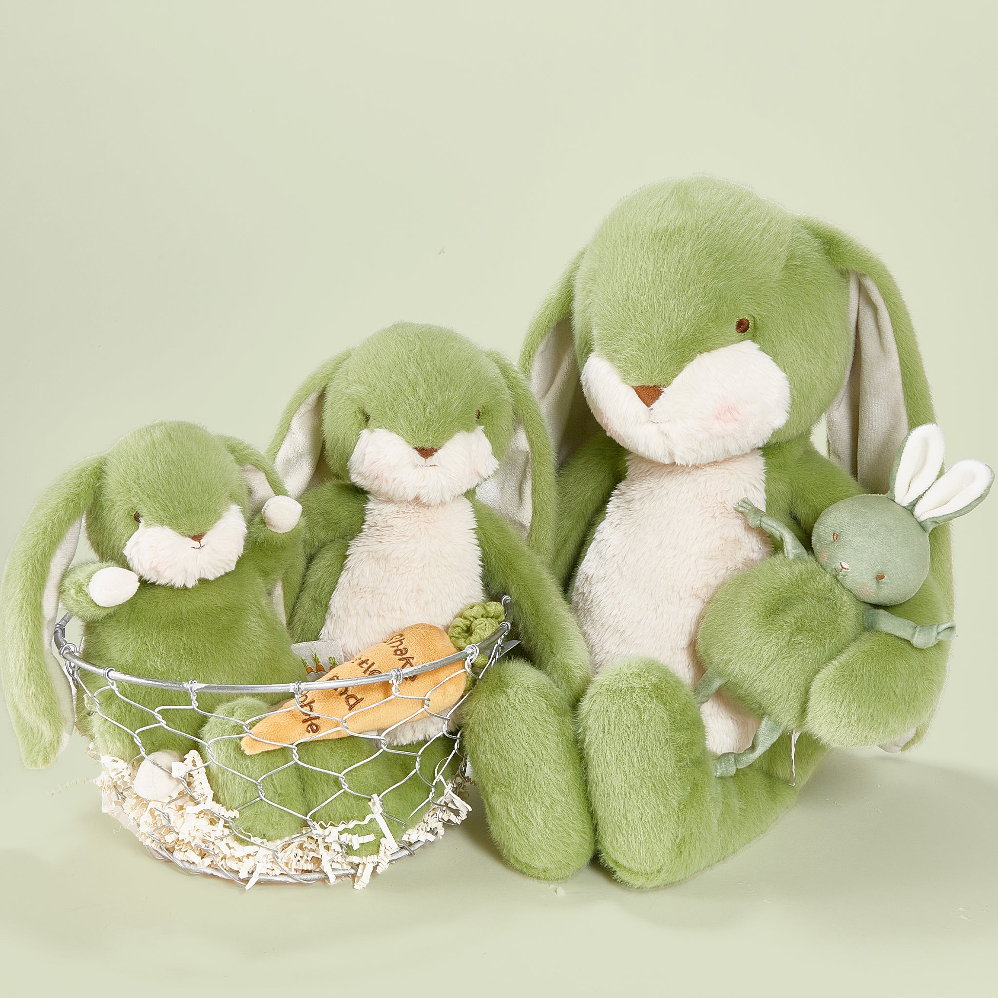 Big 20 Floppy Nibble Bunny �� Pistachio、mySite、g9winljtr
