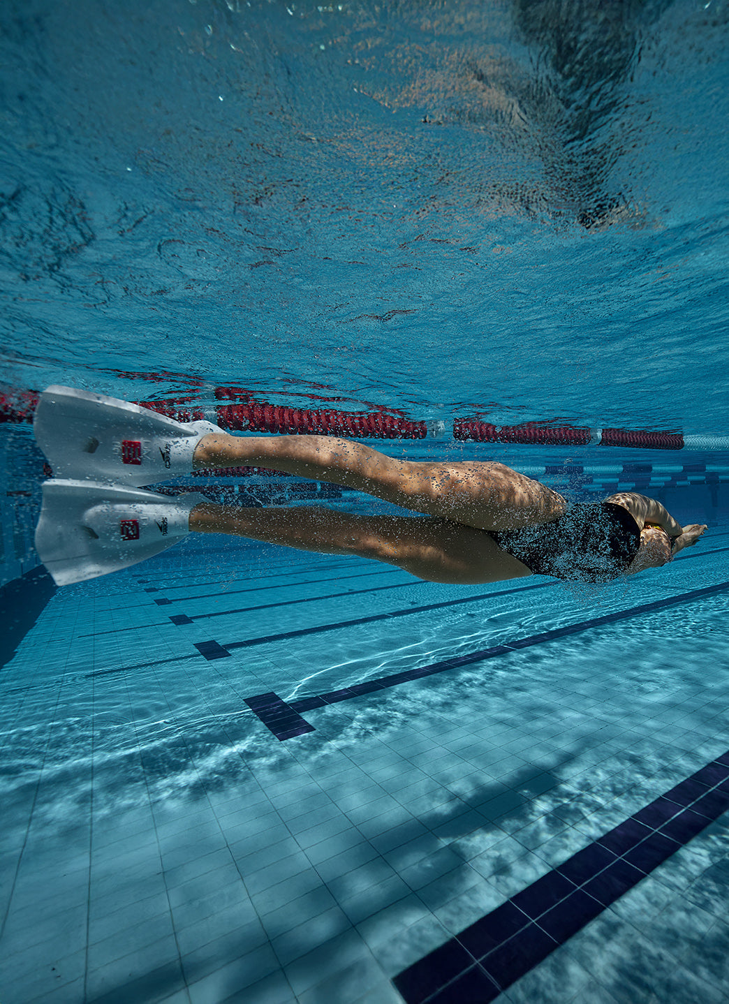 Speedo DMC Elite Swim Fin、mySite、noshort