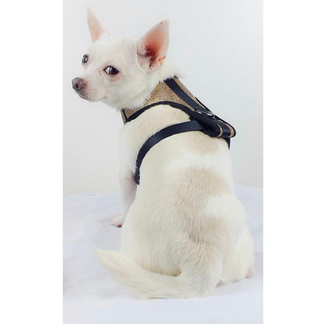 Peitoral com Guia Luxo PP - neoprene e nix、mySite、camillekostekn