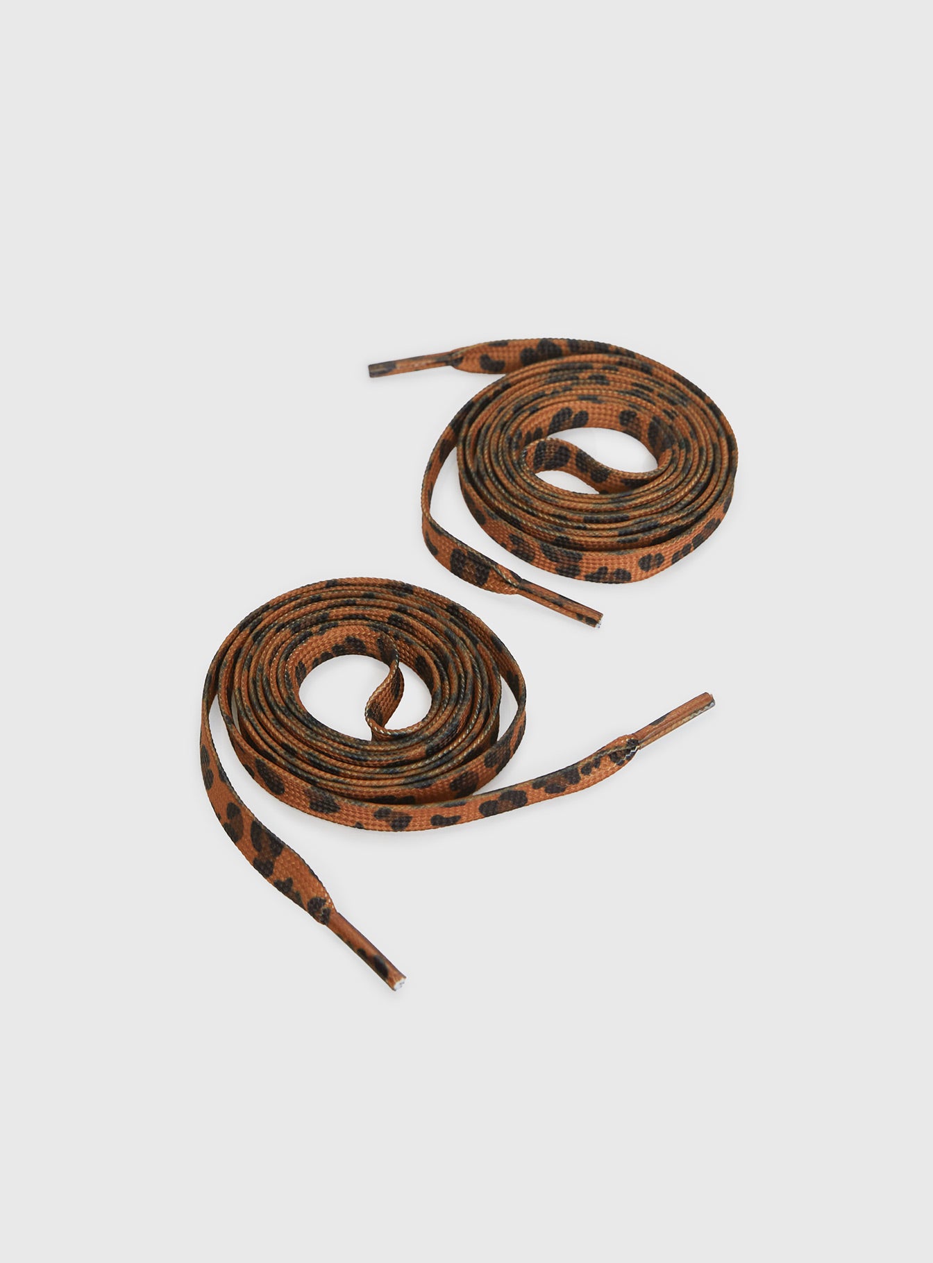 Henree Shoelaces Leopard、mySite、solidvoid