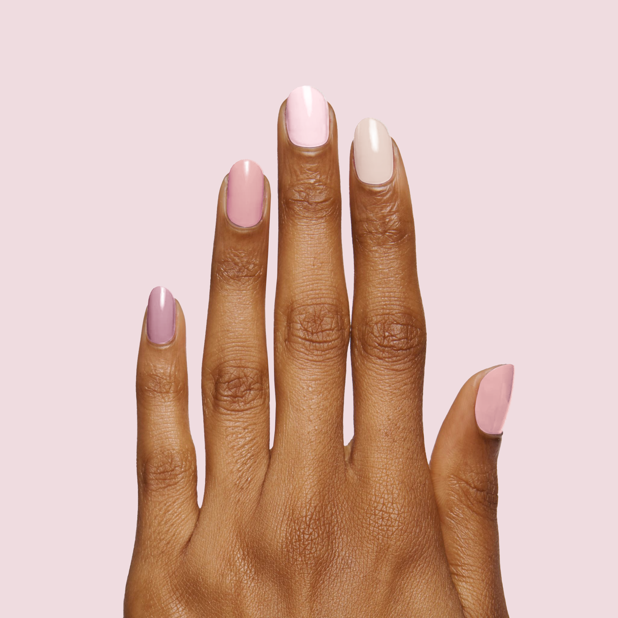 Rose Latte、mySite、solidvoid