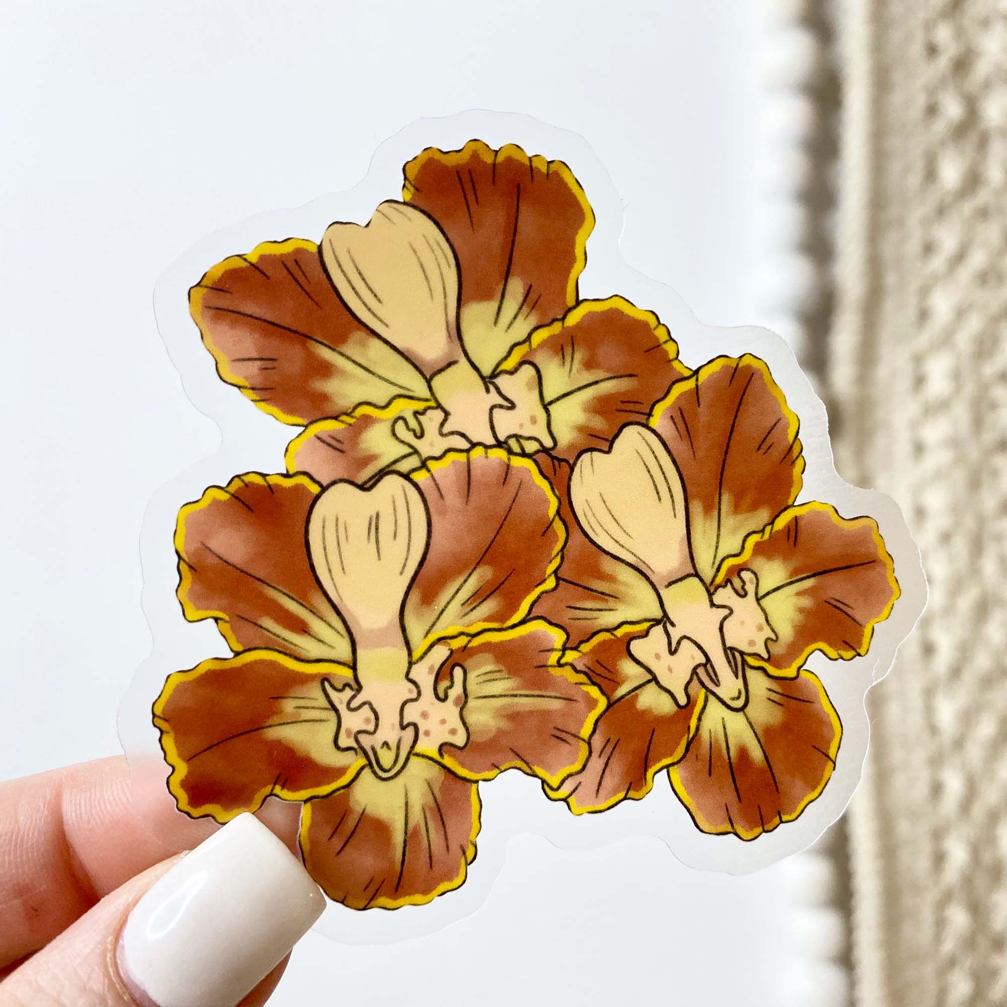  Moth Orchids - Botanical Clear Sticker、mySite、ghnorth