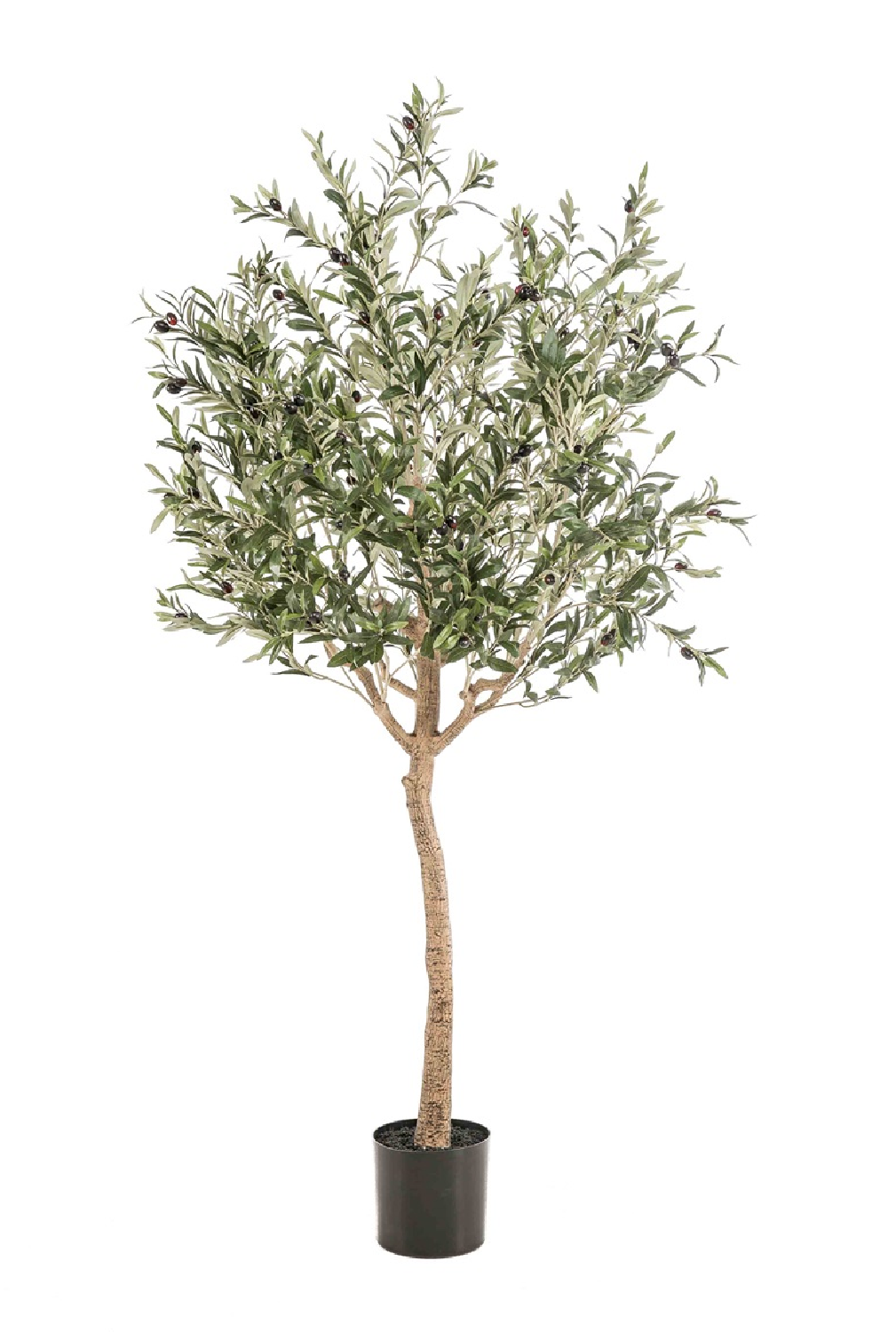 Faux Mediterranean Evergreen Tree Set (2) | Emerald Olive、mySite、neckold