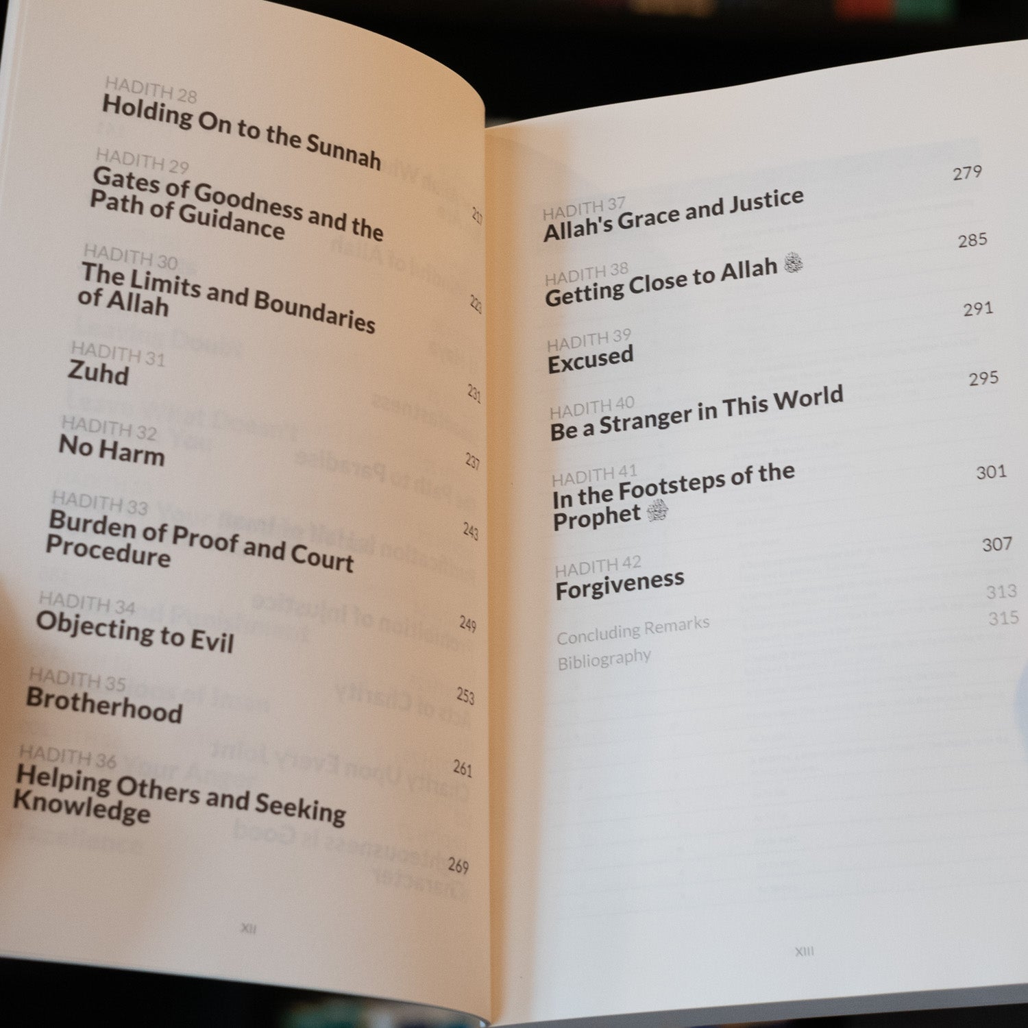 In the Company of Scholars: A Commentary on al-Nawawi's Forty Hadith、mySite、topwebapps