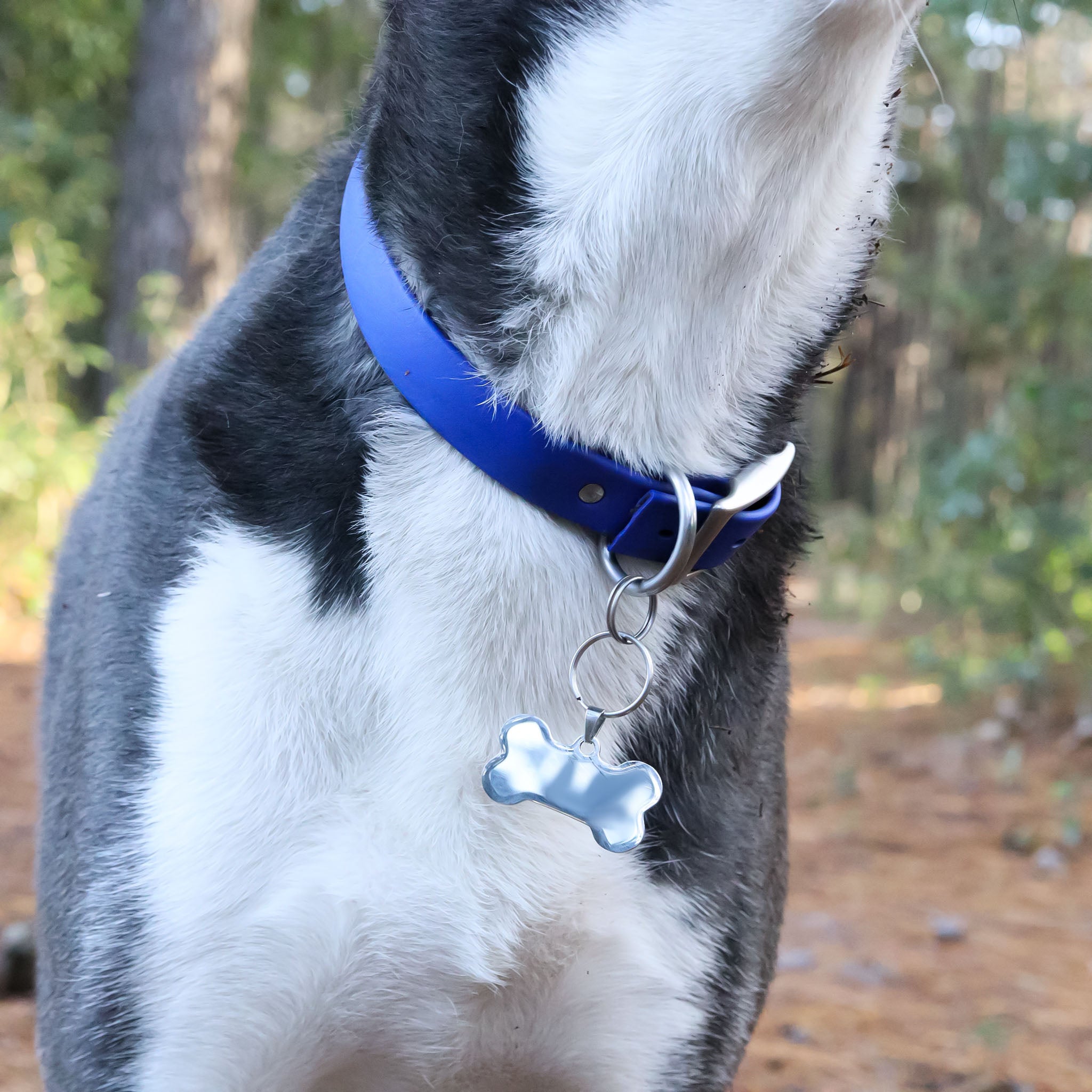 18K Gold PVD Stainless Steel Blank Dog Bone Pet Tag / PDL0134、mySite、dreamappss