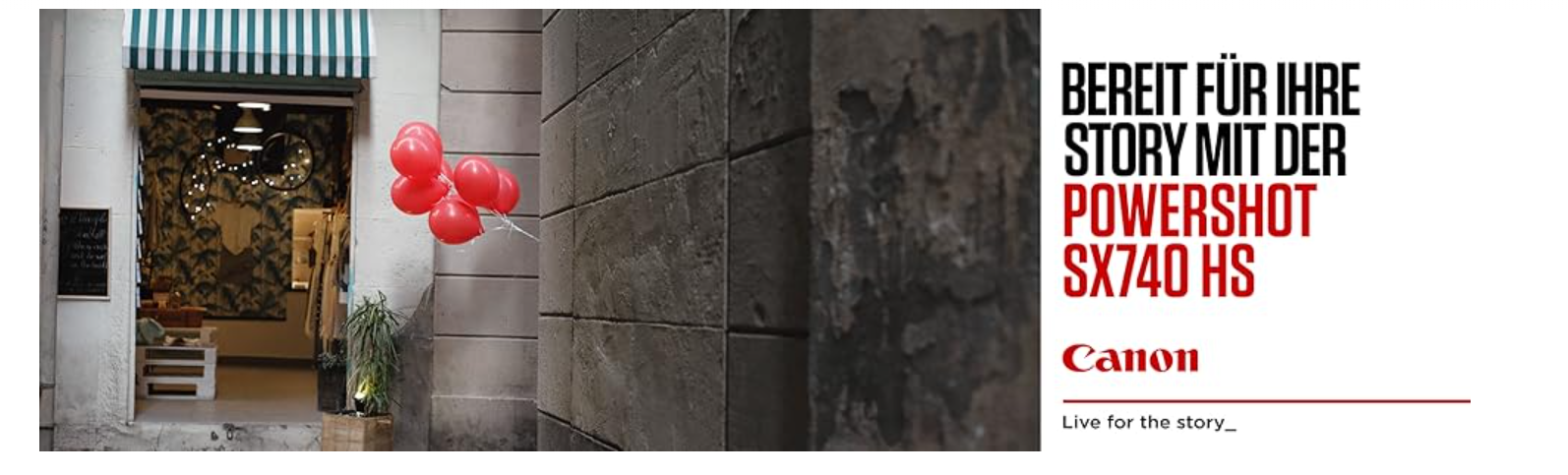 Pasted Image