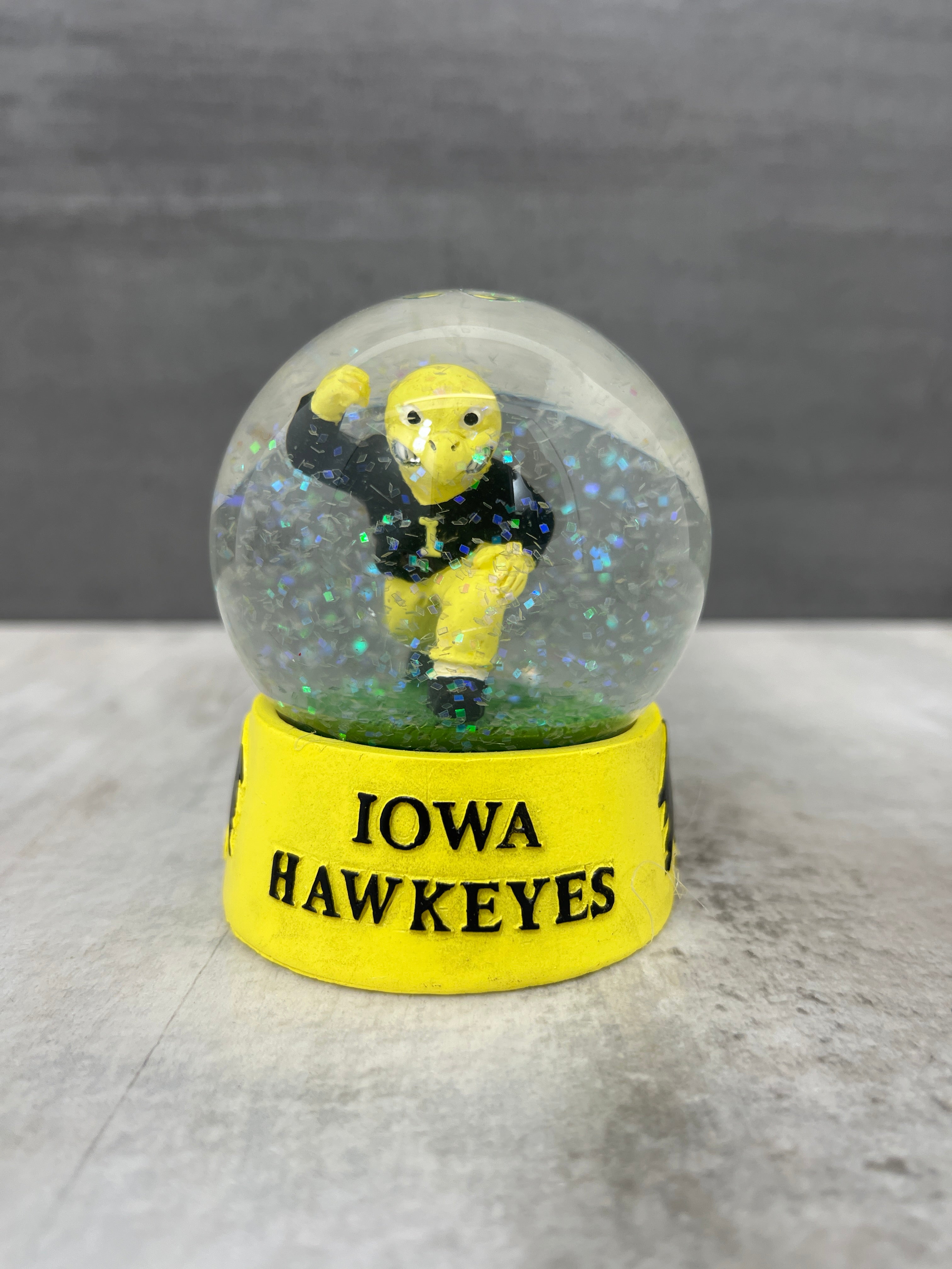 Iowa Hawkeye Water Globe、mySite、garagedoors4me