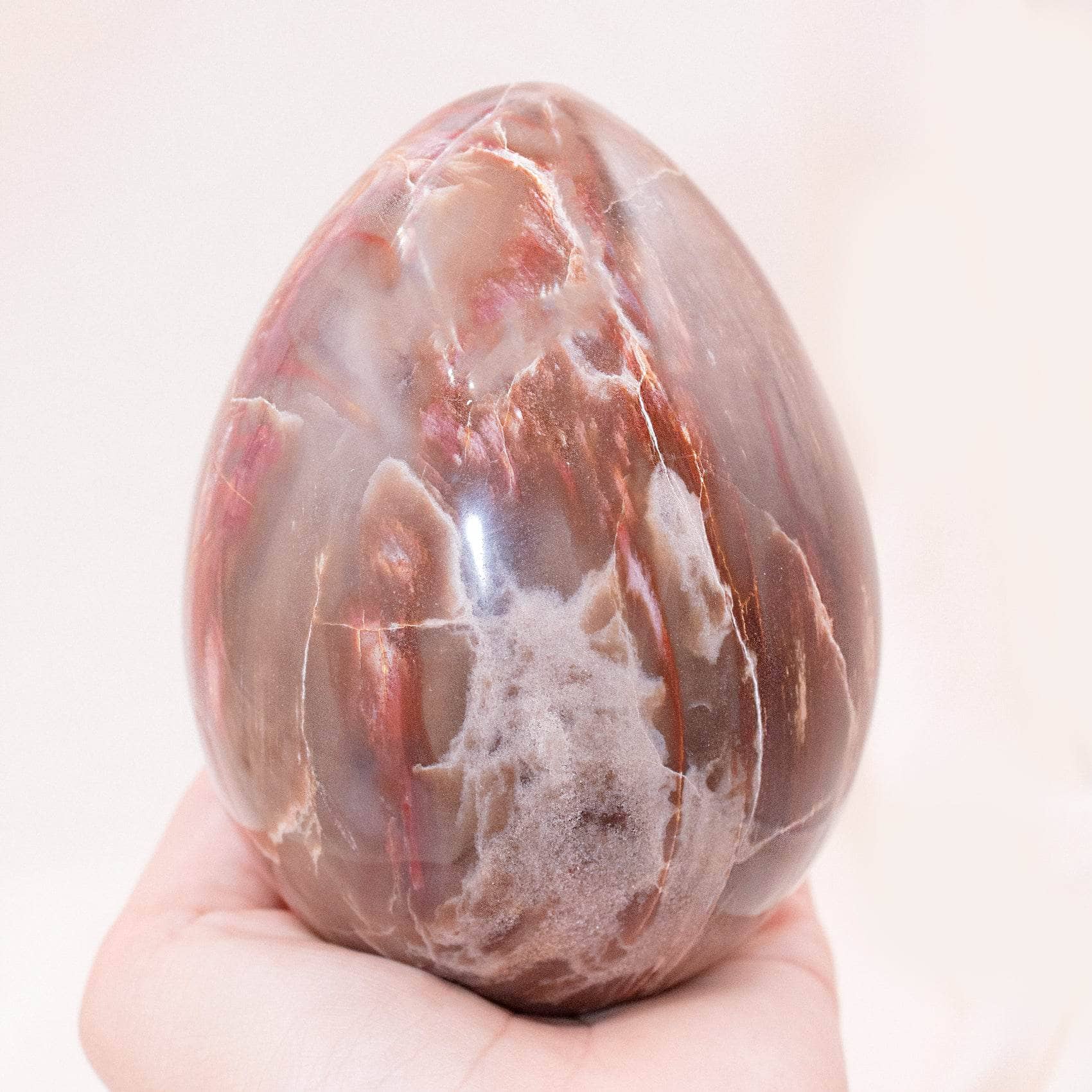 Petrified Wood Egg - AAA Premium Quality、mySite、hinf8tx79