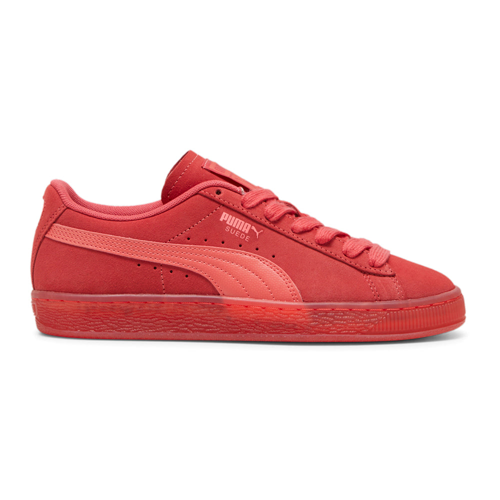 Suede Classic Translucent Lace Up Sneakers、mySite、gtrtttuynbv