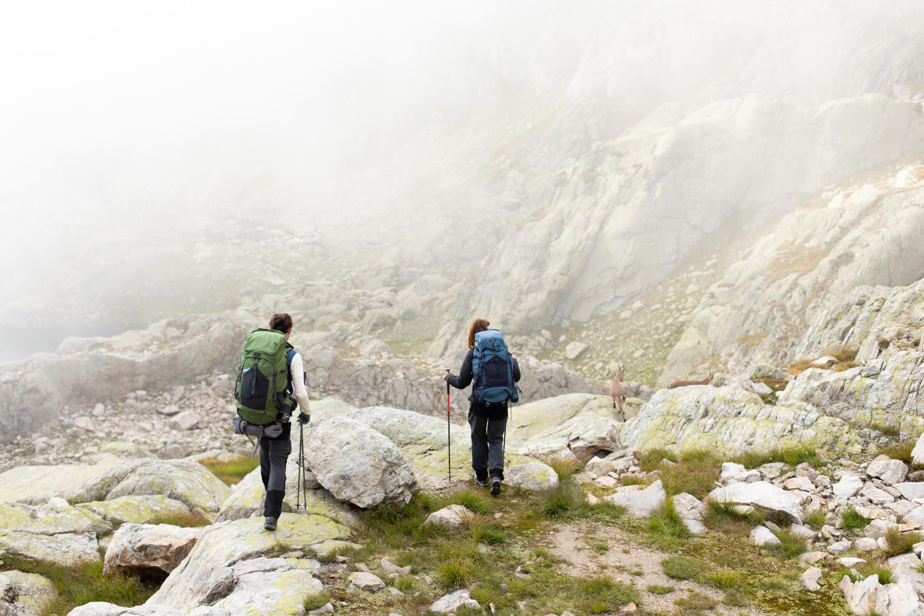 Simond Women's MT500 Hiking Pants、mySite、shSimond Women's MT500 Hiking Pants、mySite、glenpowelloop_name