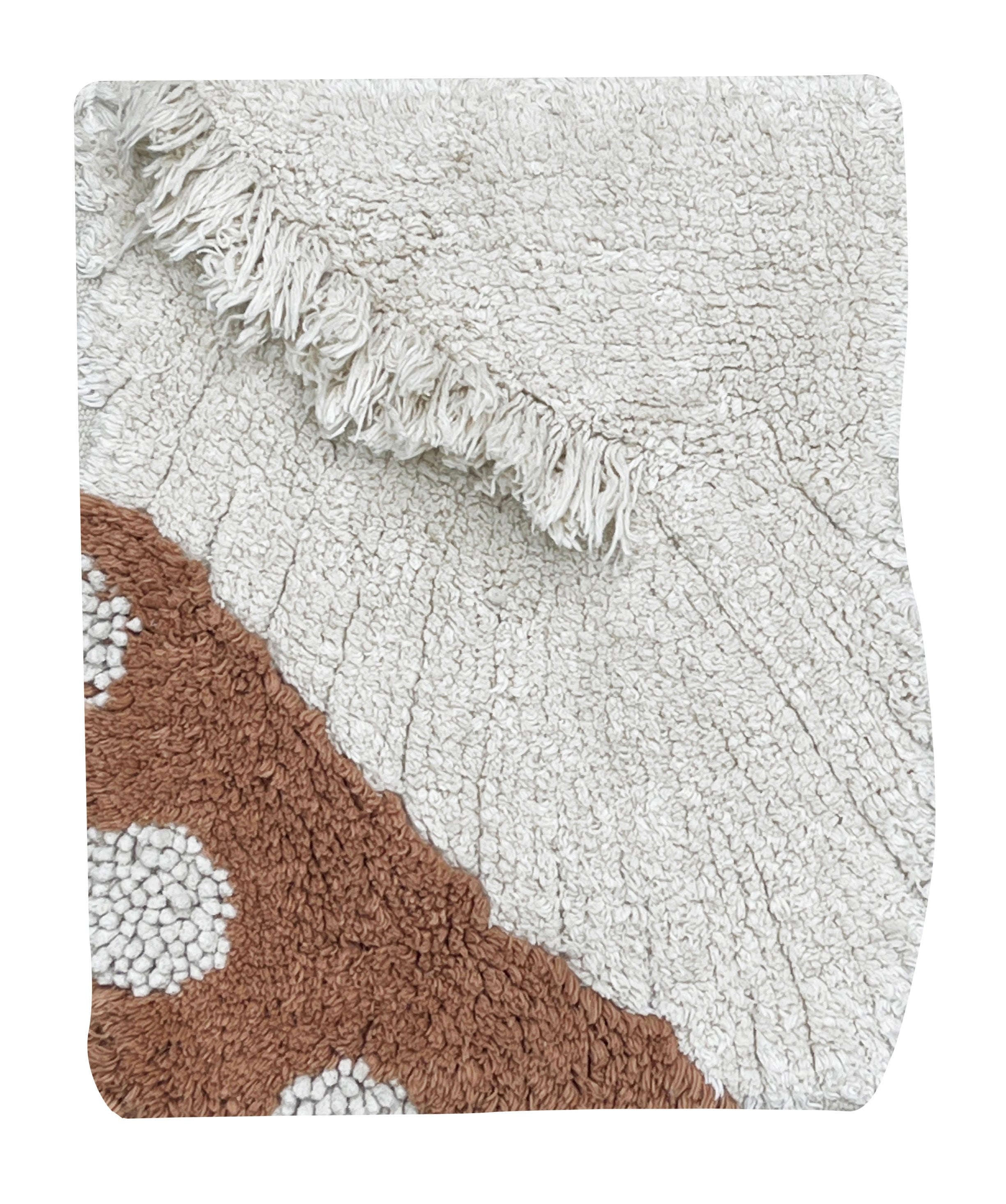 SWATCH WASHABLE RUG BOLETUS、mySite、gigharbornorthrealestate