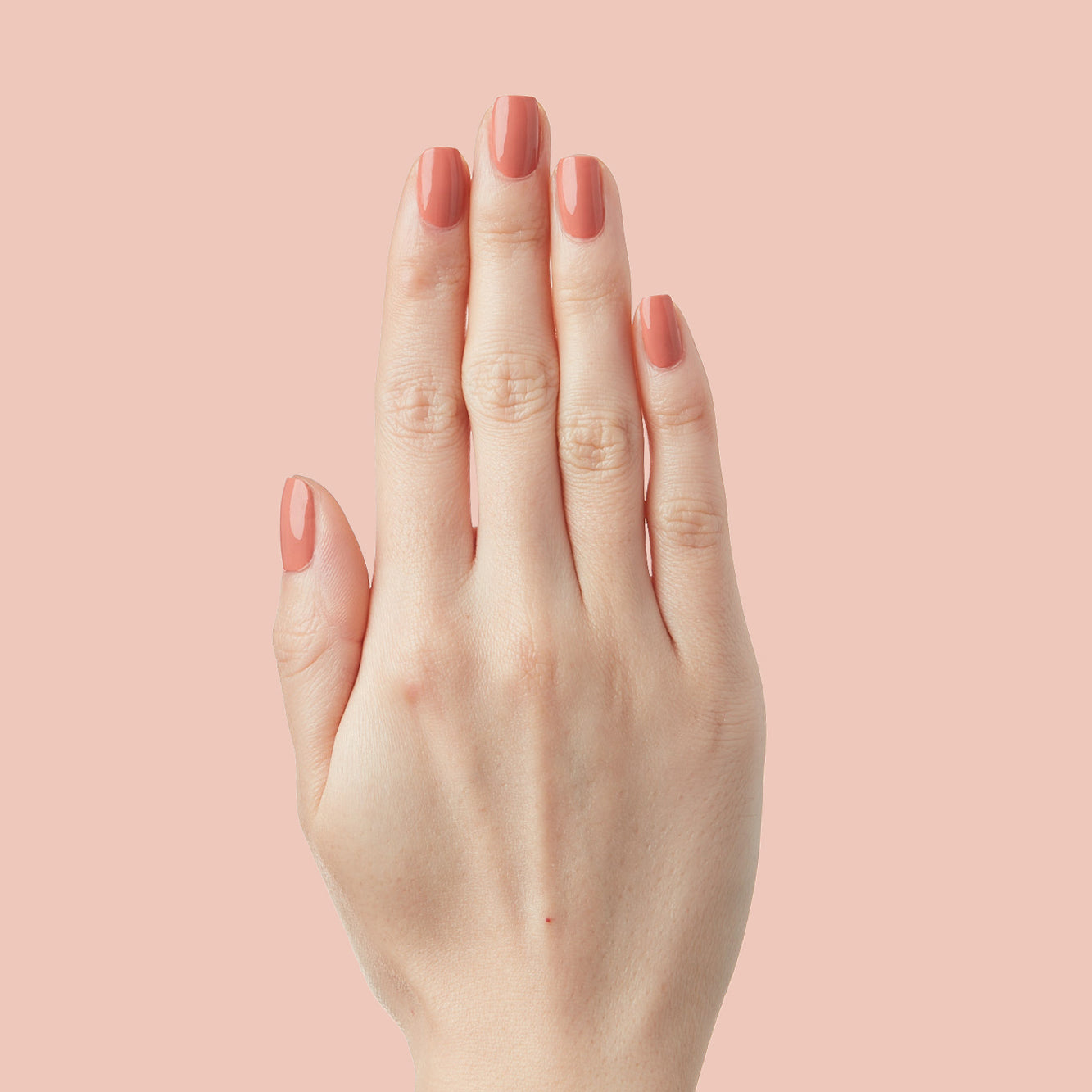 Start Small、mySite、solidvoid