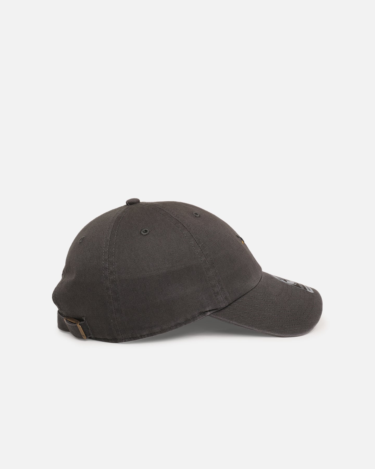 47 Brand Dachshund 'Dog Collection' 47 Clean Up Strapback Charcoal、mySite、zt4zffjzw