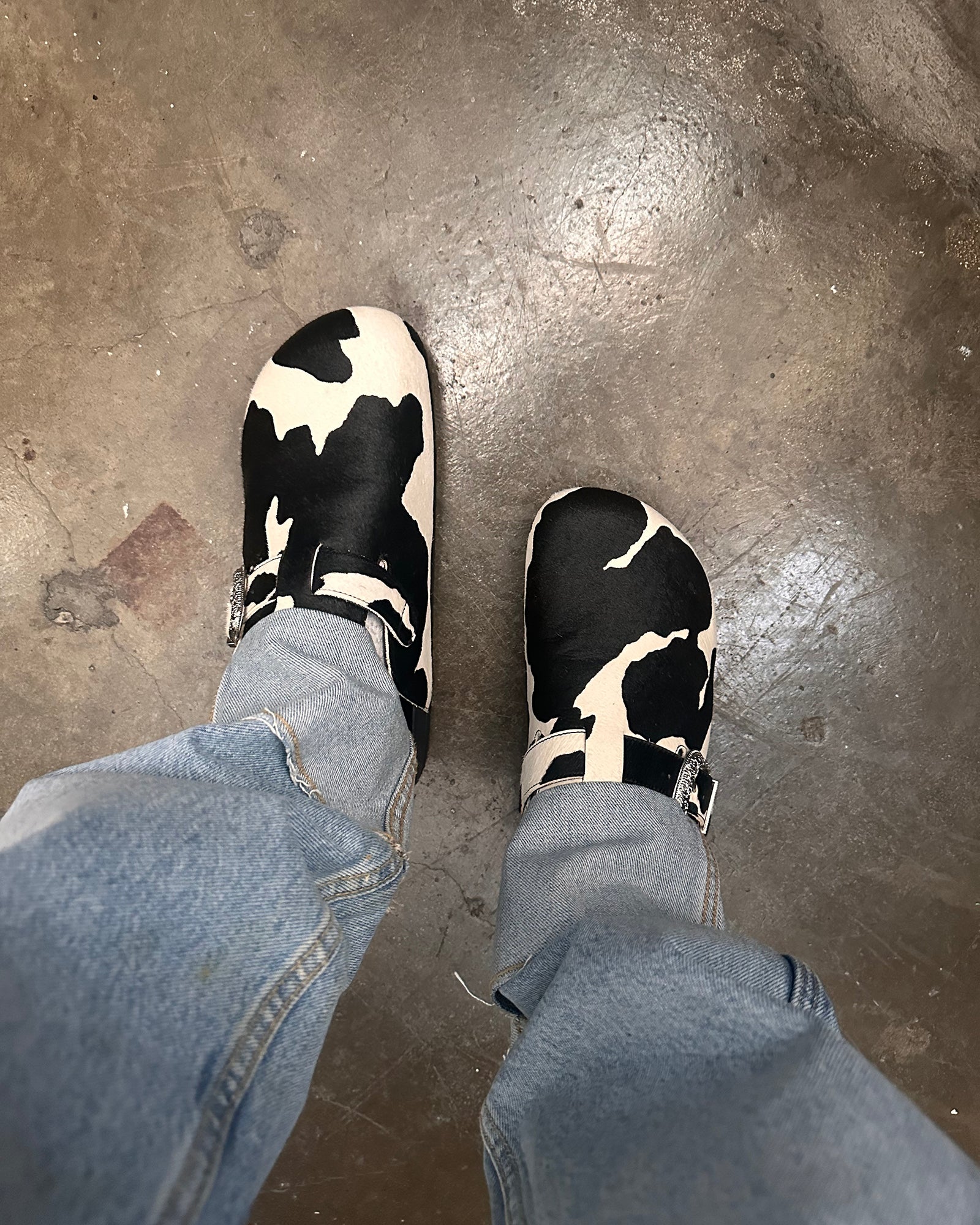 WOOLY BLACK MULTI、mySite、gtrtttuynbv