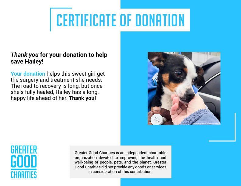 Funded: Help Heal Hailey's Broken Leg、mySite、camillekostekn