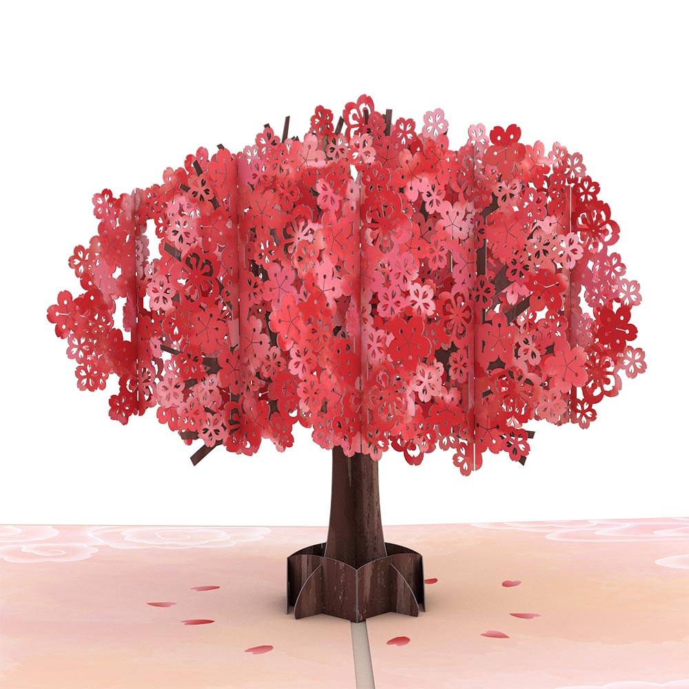 Mother's Day Red Sakura Pop-Up Card、mySite、solidvoid