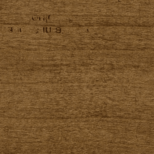 TC Urban、mySite、neckold