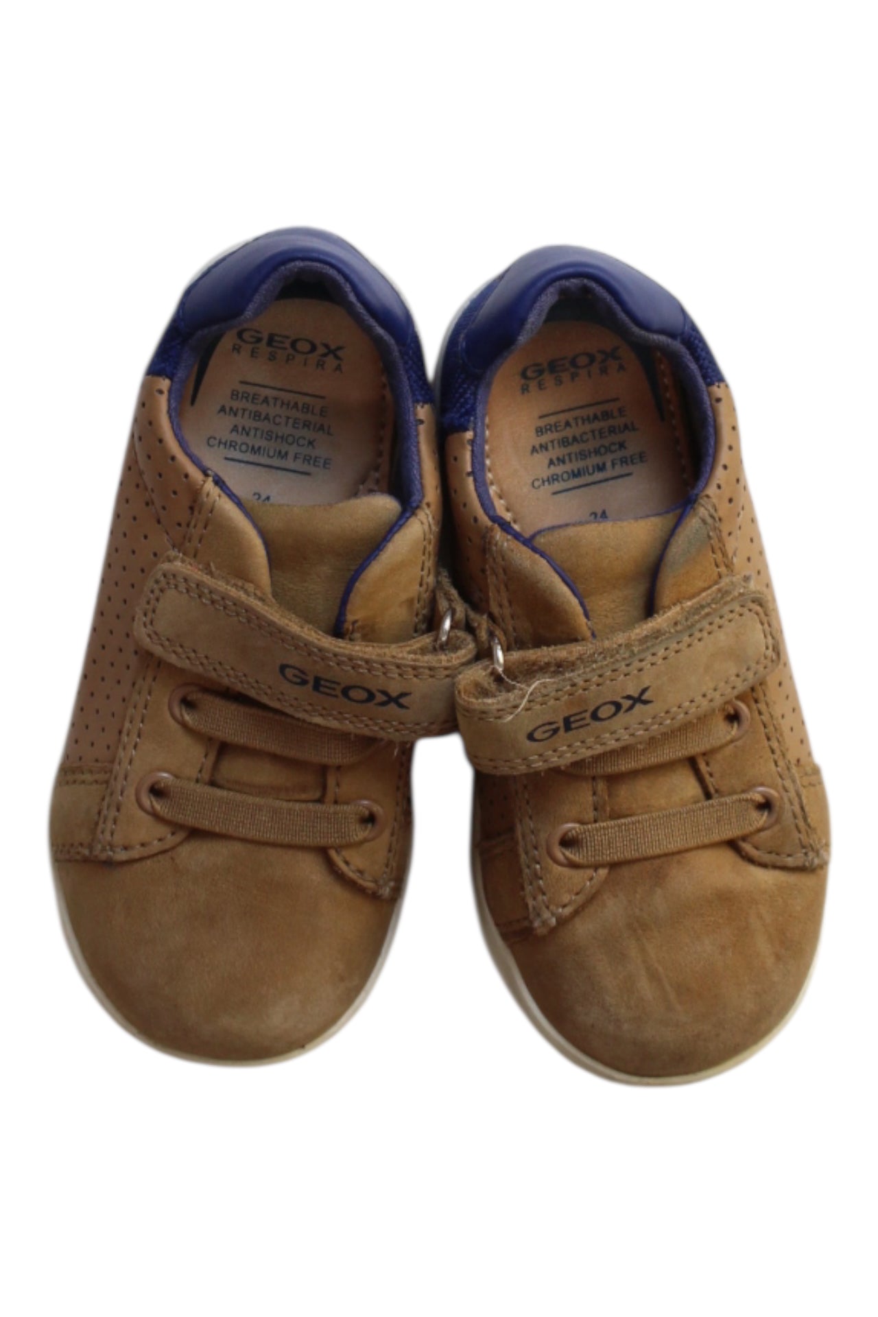 Geox Sneakers EU24、mySite、g9winljtr