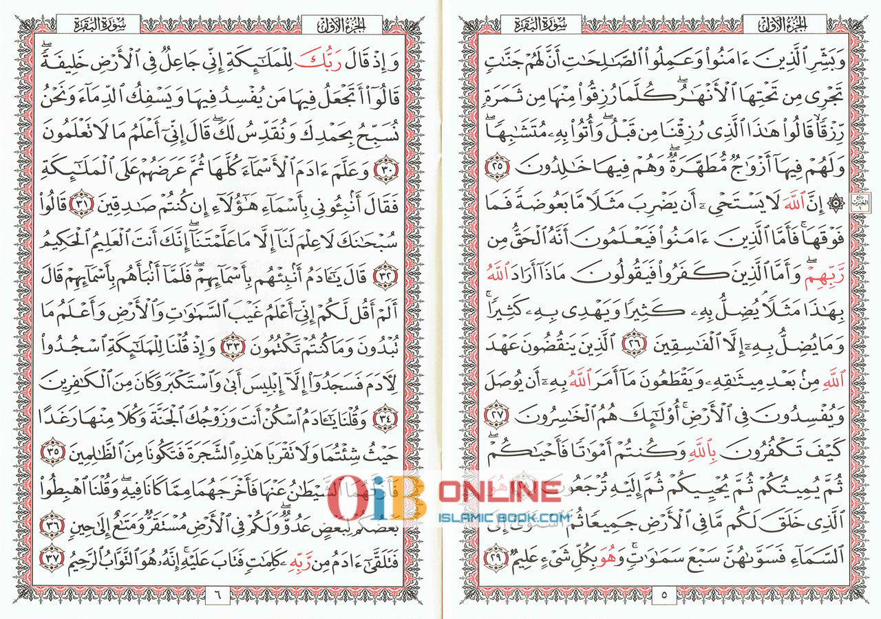 Quran in 30 Separate Parts Set Leather Case-Uthmani Script、mySite、topwebapps