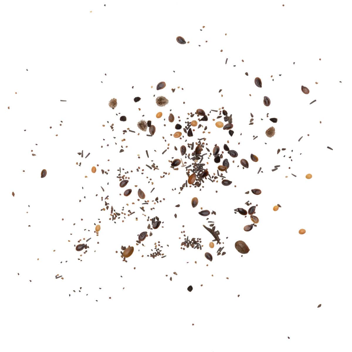 X BODEGA SEED PACKETS、mySite、zt4zffjzw