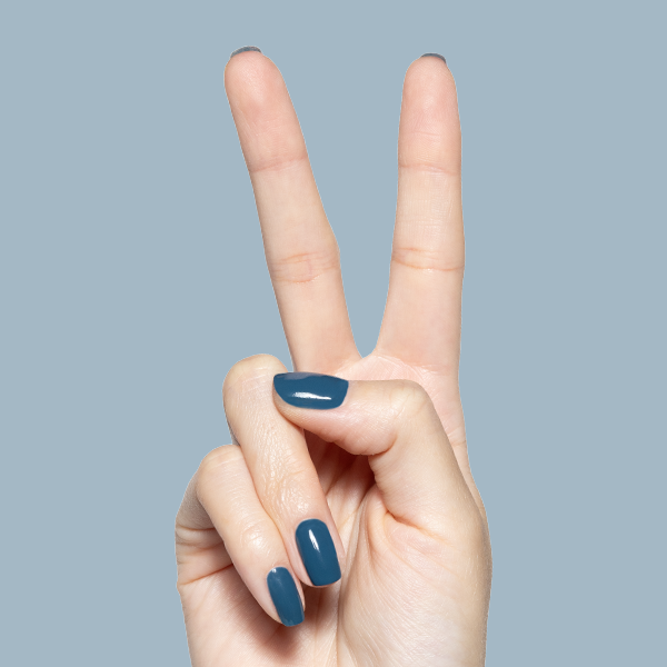 Bodysuit、mySite、solidvoid