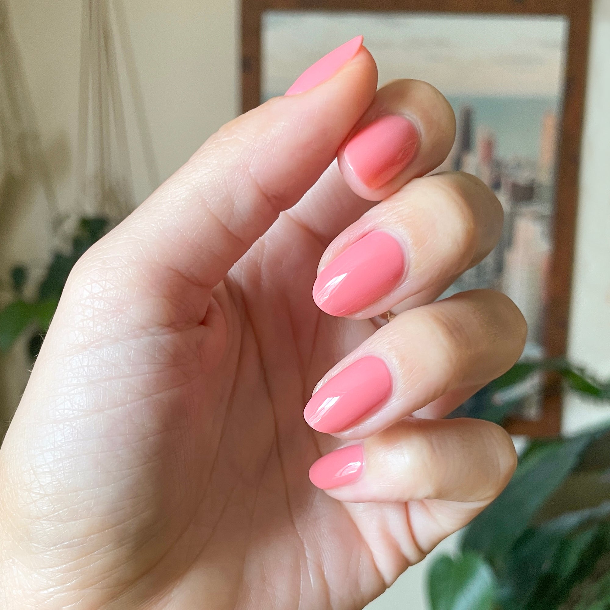 Papaya Gloss、mySite、solidvoid