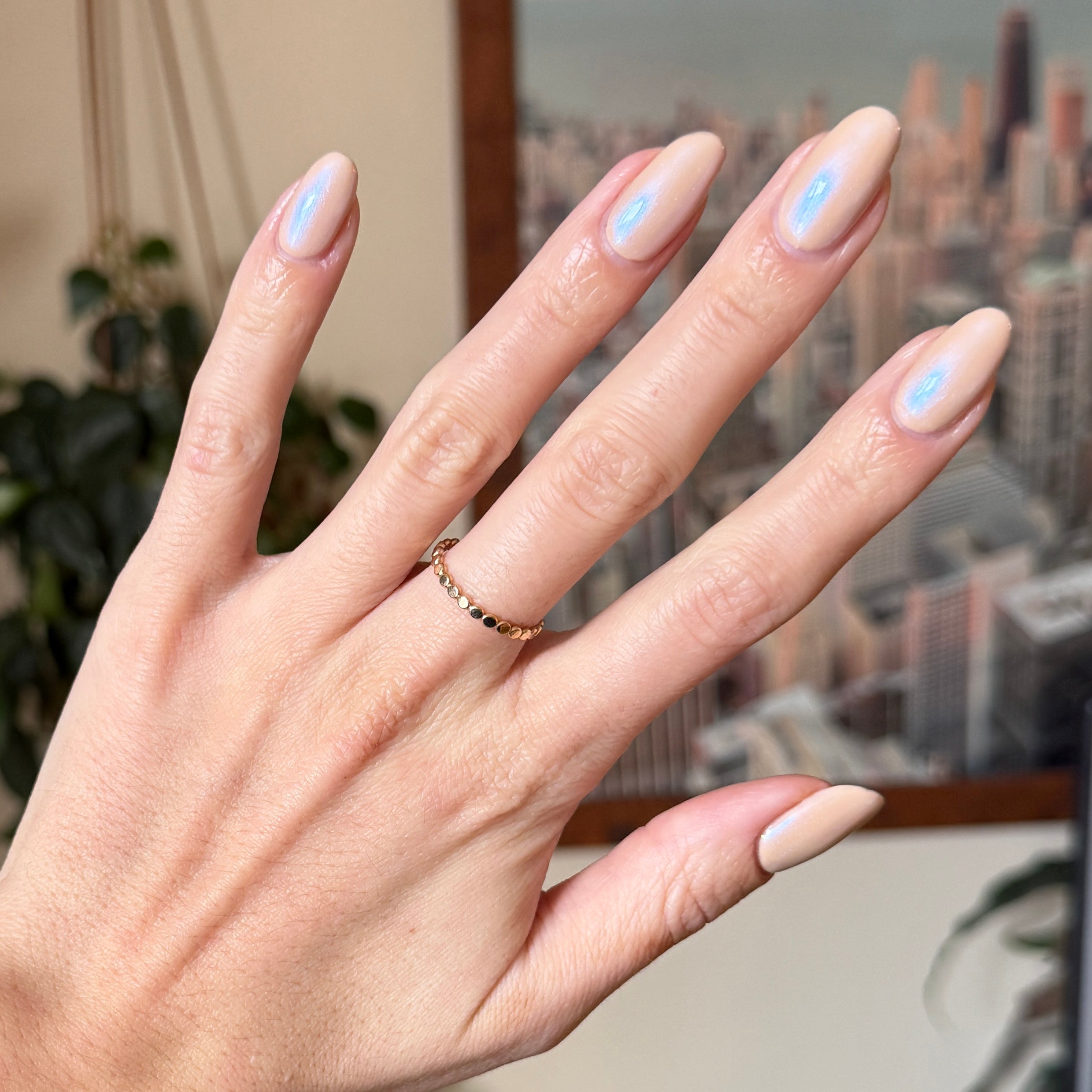 Country Chrome、mySite、solidvoid