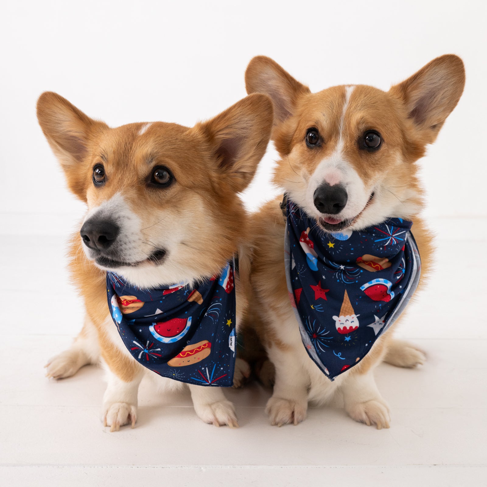  Snacks & Sparkles Pet Bandana、mySite、layawaytickets