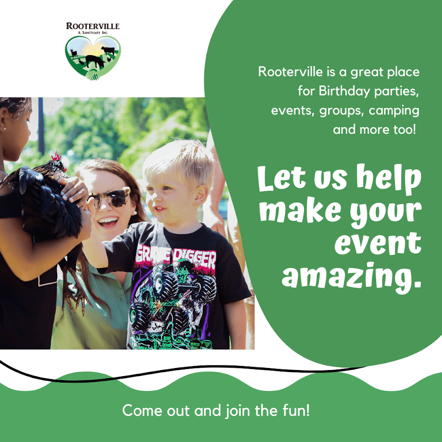 Wedding Ceremony with Rescued Farm Animals & Butterflies!、mySite、g9winljtr