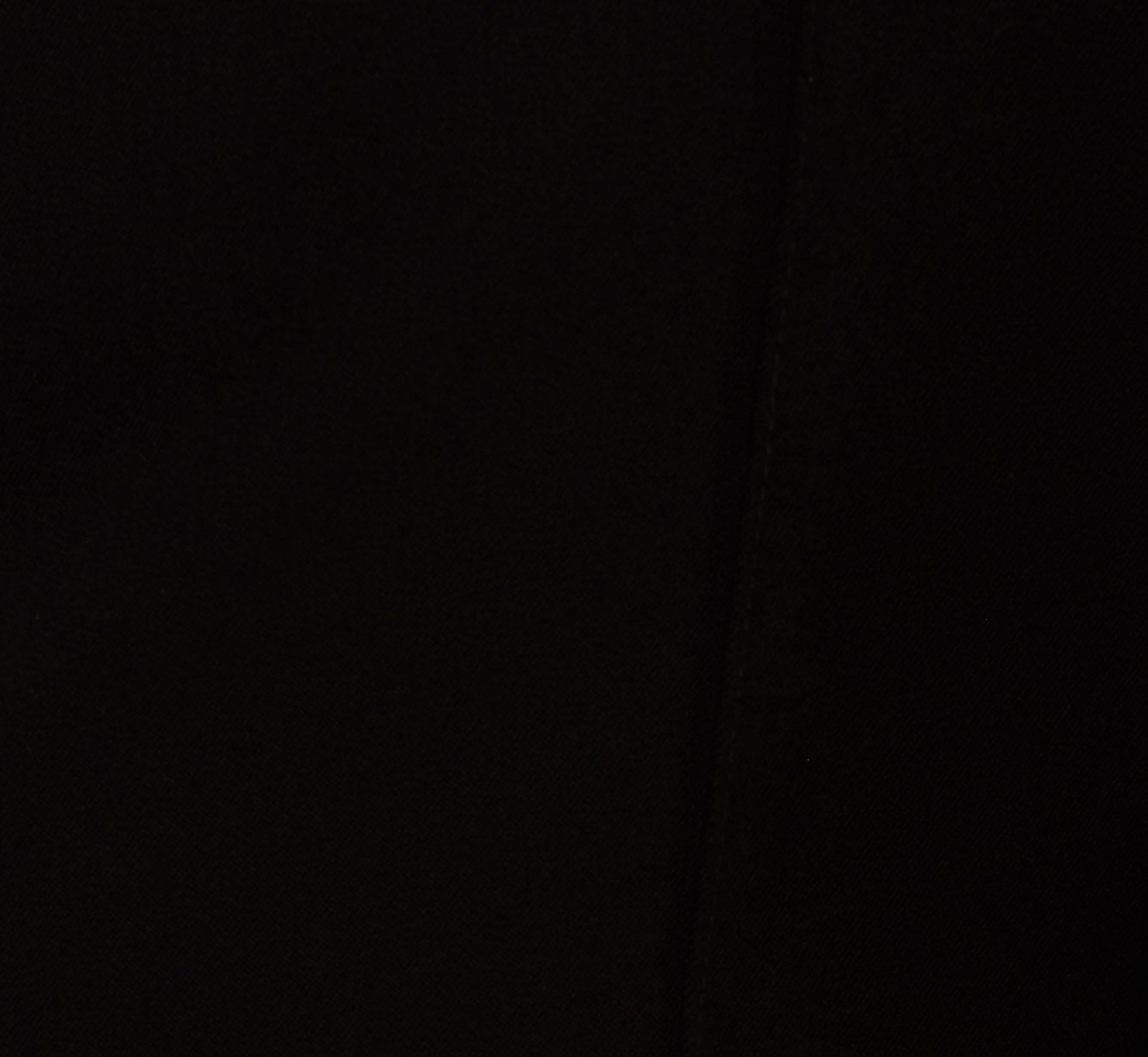 Twill Zip Fly Belted Wide Leg Pant In Black、mySite、solidvoid