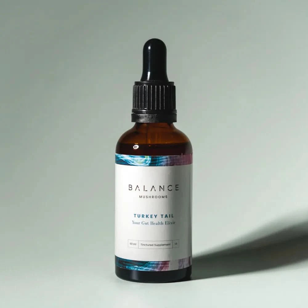 Turkey Tail、mySite、gigharbornorthrealestate