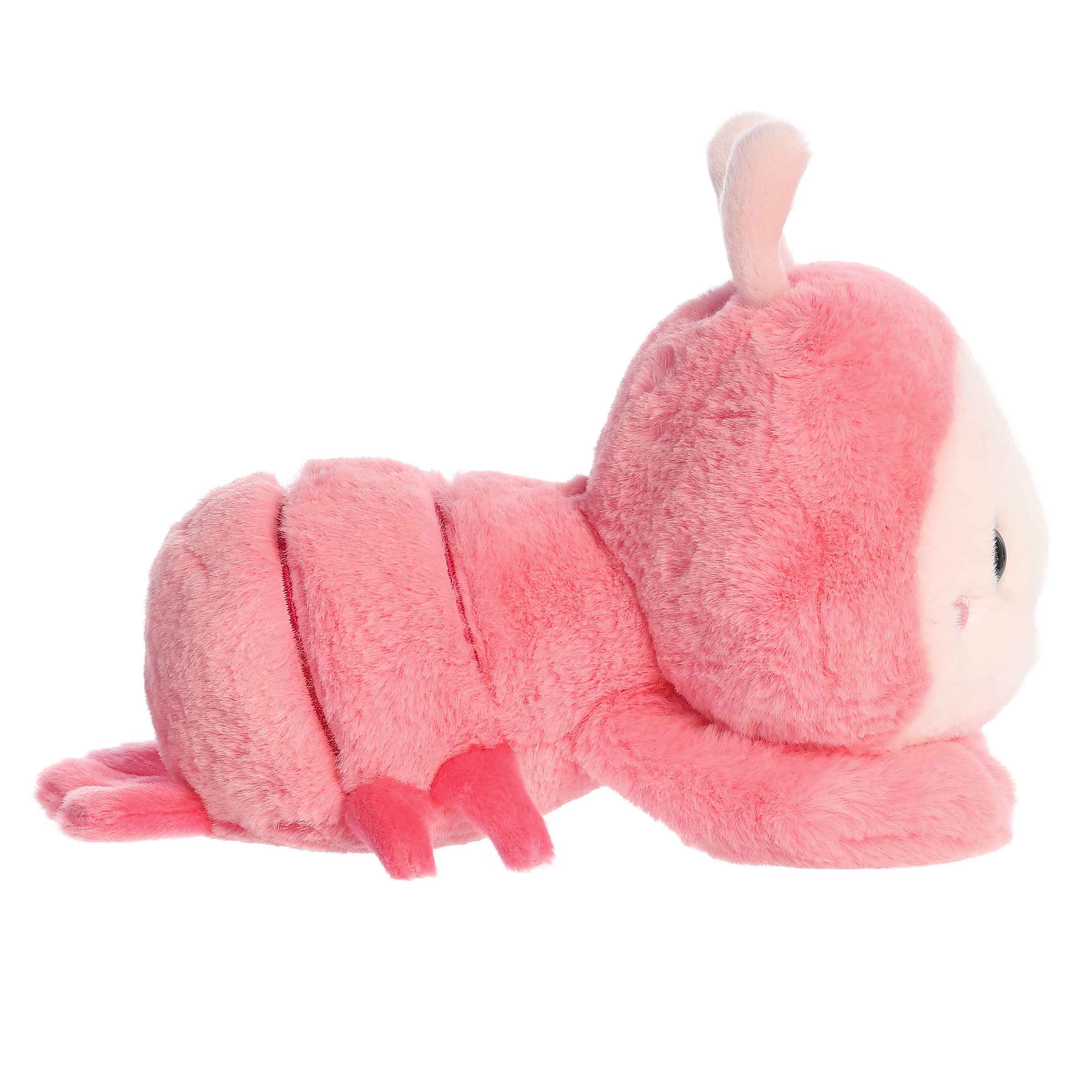Aurora® - Too Cute™ - 9 Shimmi Shrimp™、mySite、g9winljtr