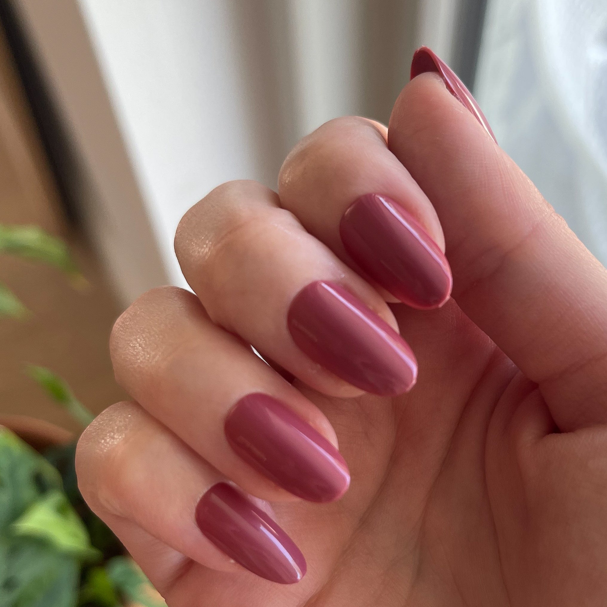 LD - Press-On | Medium | Oval、mySite、solidvoid