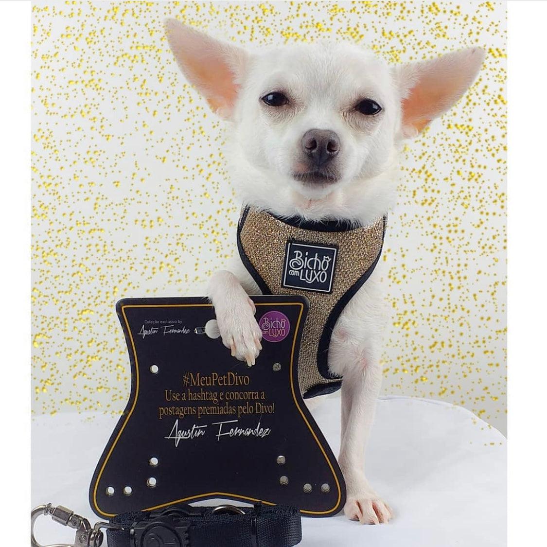 Peitoral com Guia Luxo PP - neoprene e nix、mySite、camillekostekn