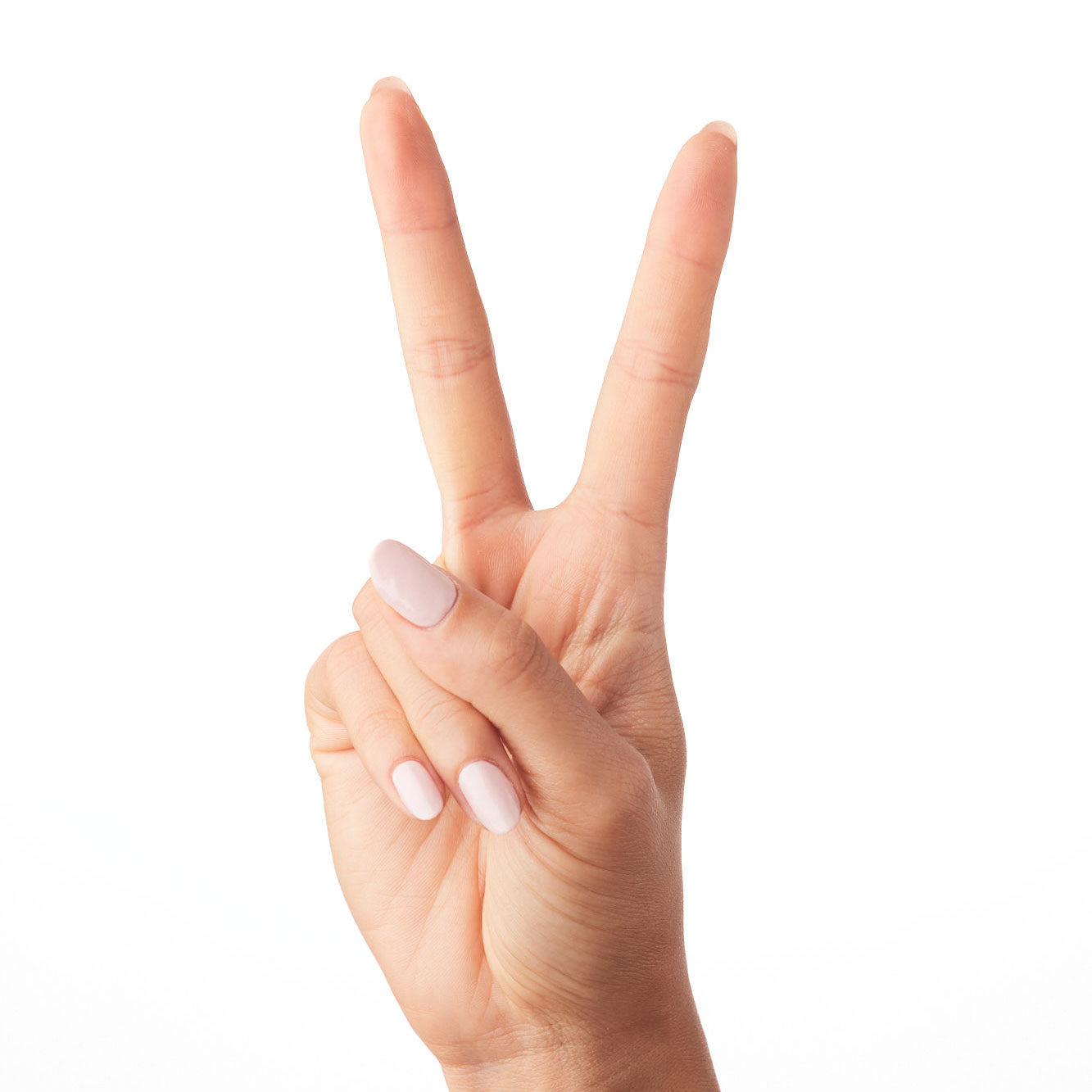 Point Dume、mySite、solidvoid