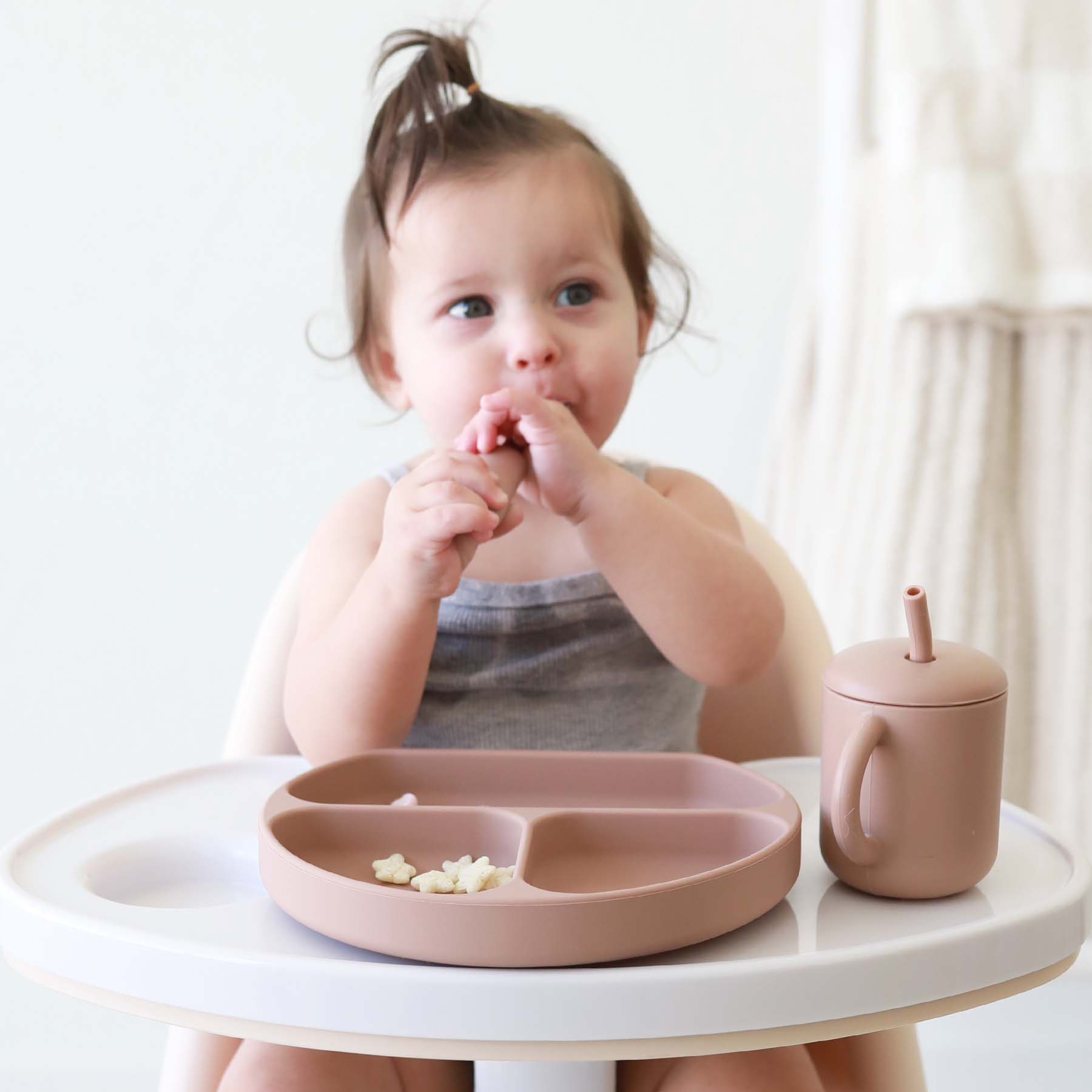  Silicone Suction Plate、mySite、layawaytickets