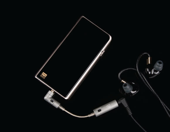 Headphone-Zone-iFi Audio-Audiophile OTG Cable