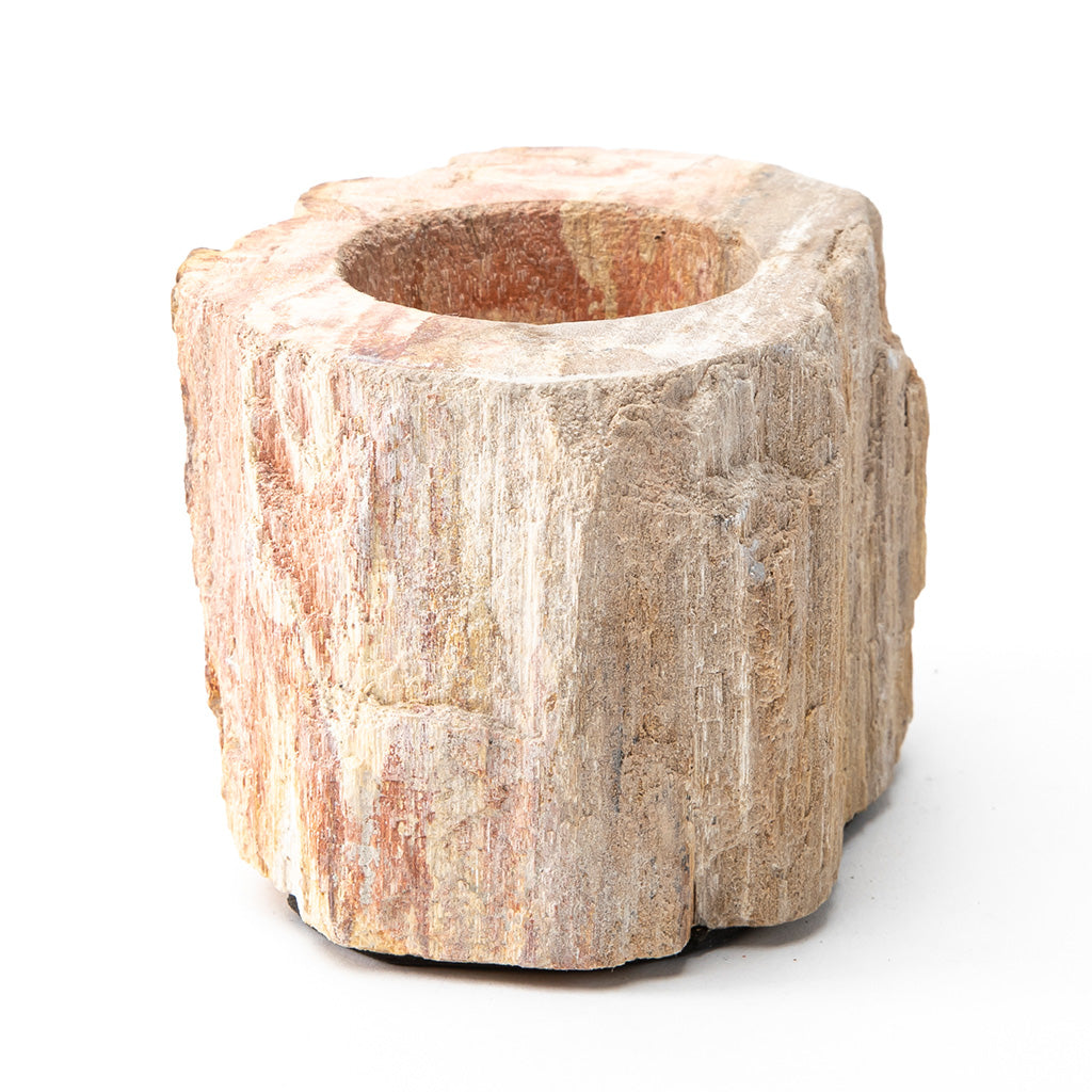 Petrified Wood Candle Holder、mySite、topwebapps