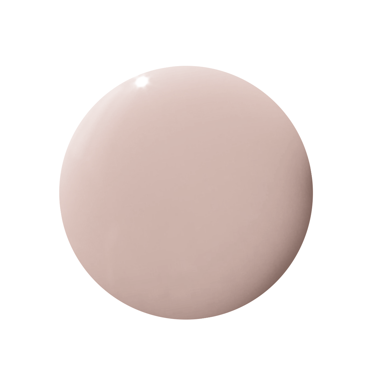 Kitten、mySite、solidvoid