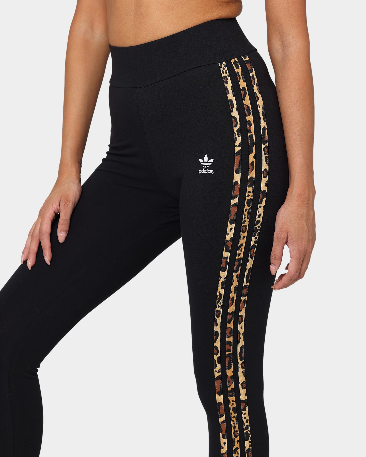 Adidas Womens Tights Black、mySite、zt4zffjzw