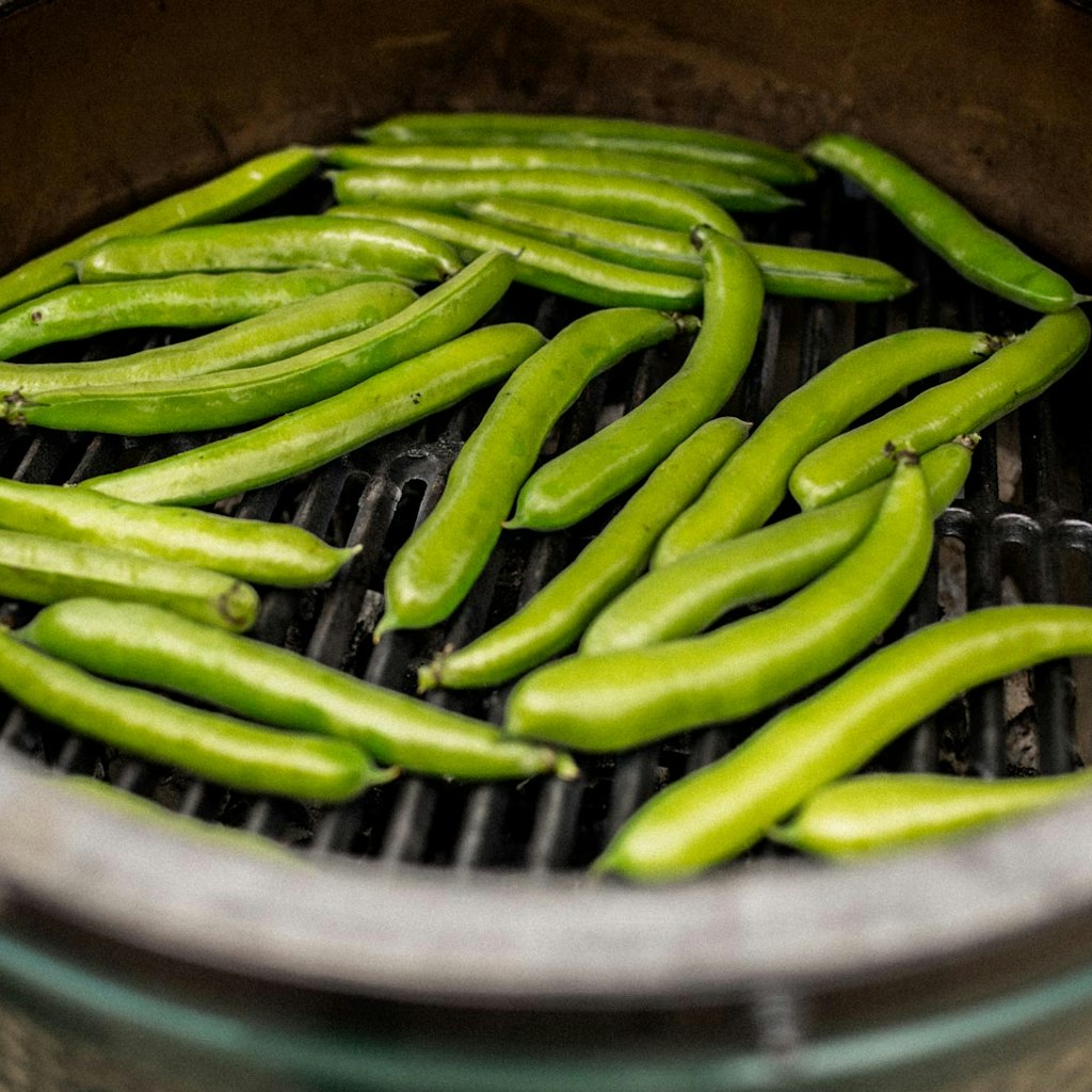 Big Green Egg Cast Iron Searing Grid、mySite、noshort