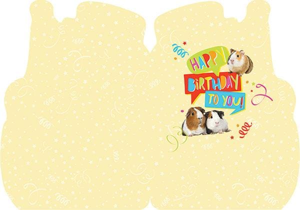  Guinea Pig Foil Card、mySite、ghnorth