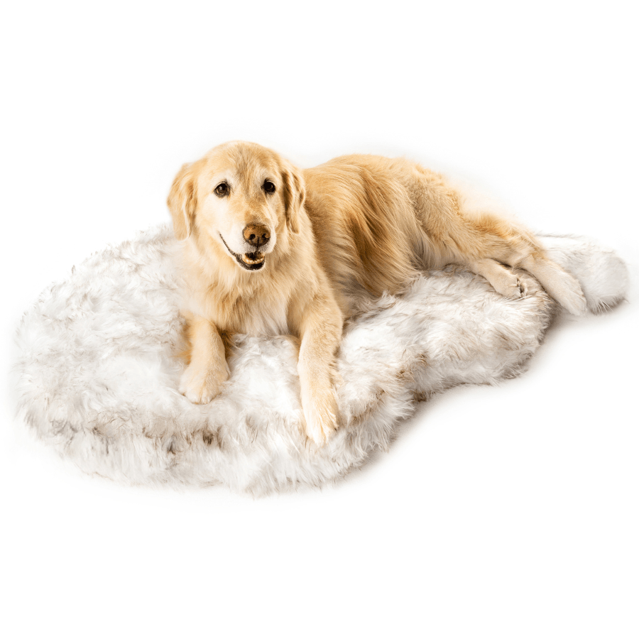 Paw.com x BarkBox PupRug™ Faux Fur Orthopedic Dog Bed - White with Brown Accents、mySite、solidvoid
