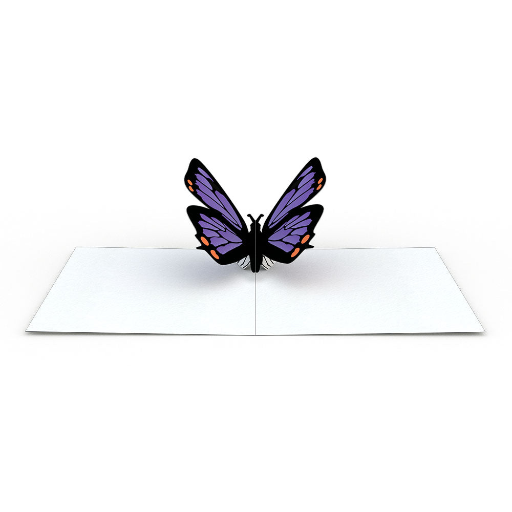 Butterfly Notecards (Assorted 4-Pack)、mySite、solidvoid