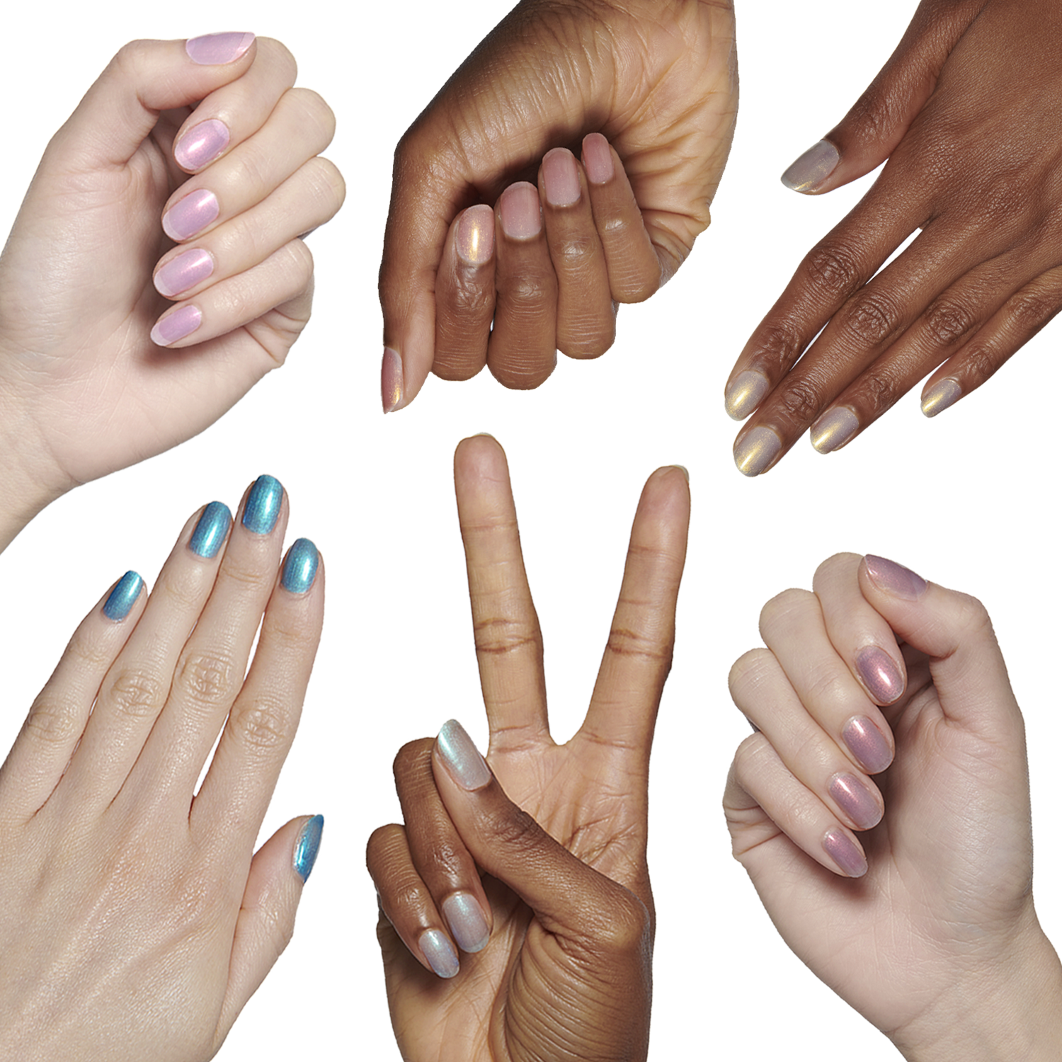 Rainbow Goldfish Collection、mySite、solidvoid