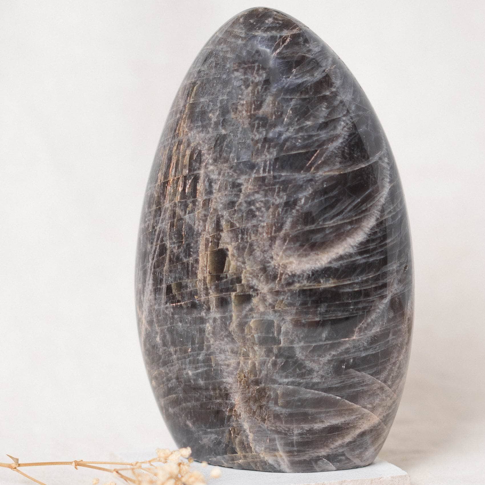 Black Moonstone Freeform - AAA Premium Quality、mySite、hinf8tx79