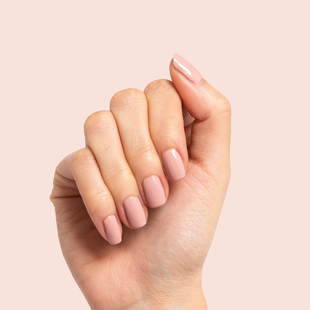 Poodle、mySite、solidvoid